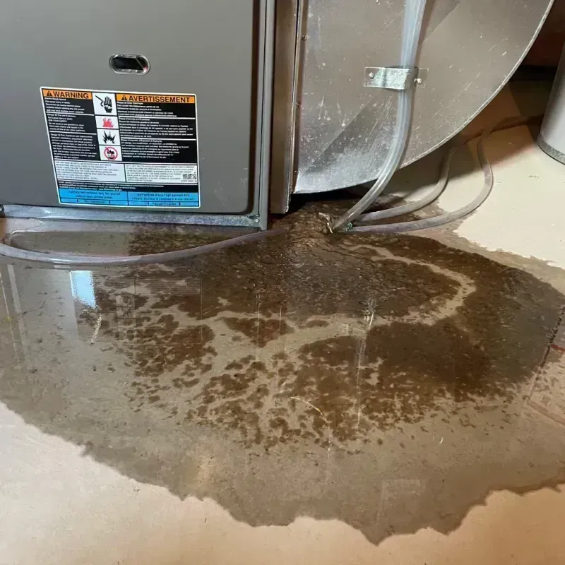 Appliance Leak Cleanup in Lander, WY